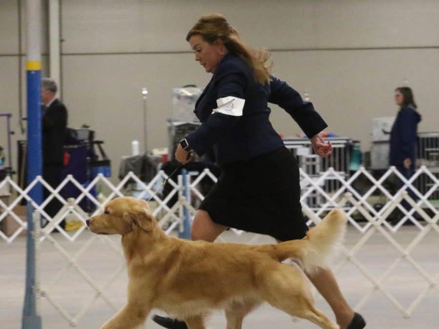 Buck wins Best of Breed in Belton, TX (Oct. 28, 2021)