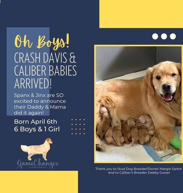 Crash Davis & Caliber Babies Arrived!